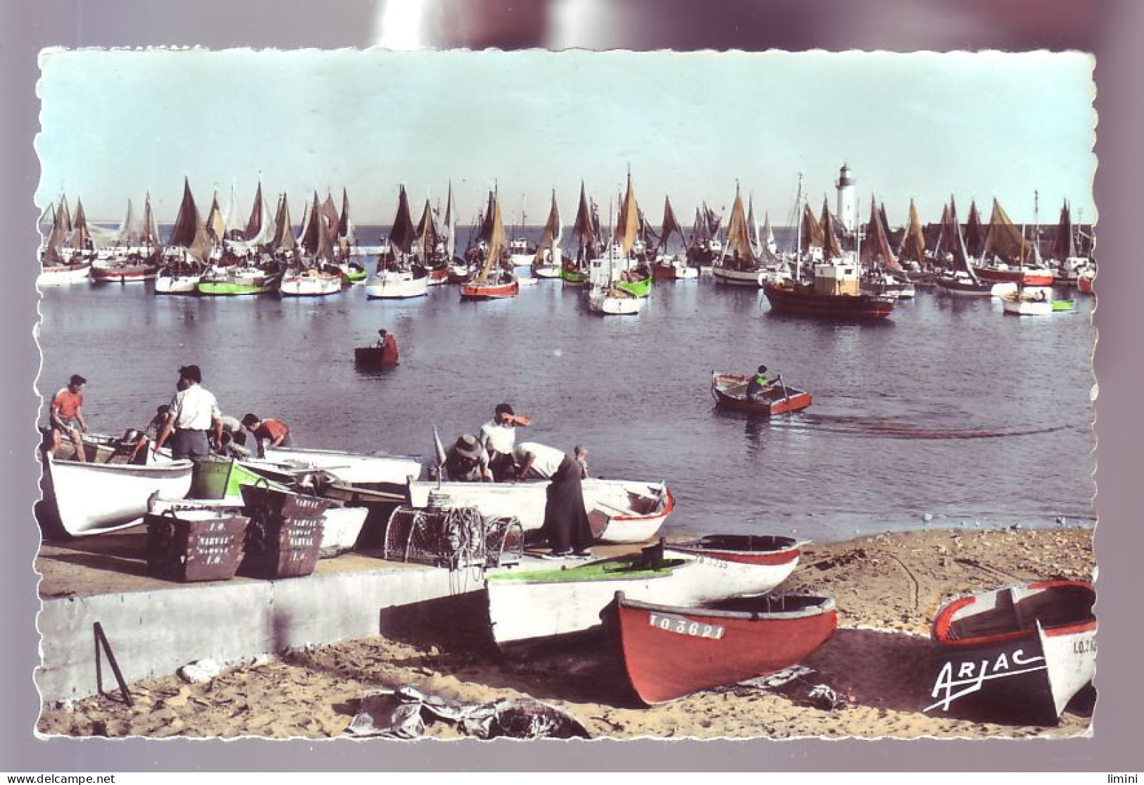 17 - ILE D'OLERON - LE PORT DE LA COTINIERE - ANIMÉE -  - Ile D'Oléron