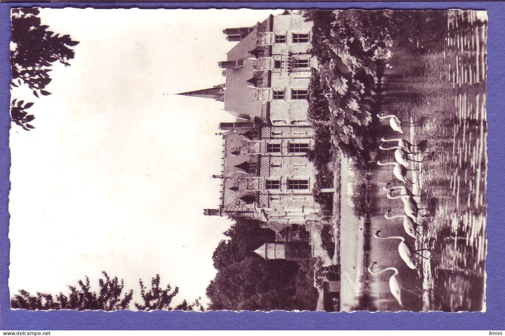 76 - CLERES - PARC ZOOLOGIQUE - FACADE DU CHATEAU ET FLAMANTS ROSES -  - Clères