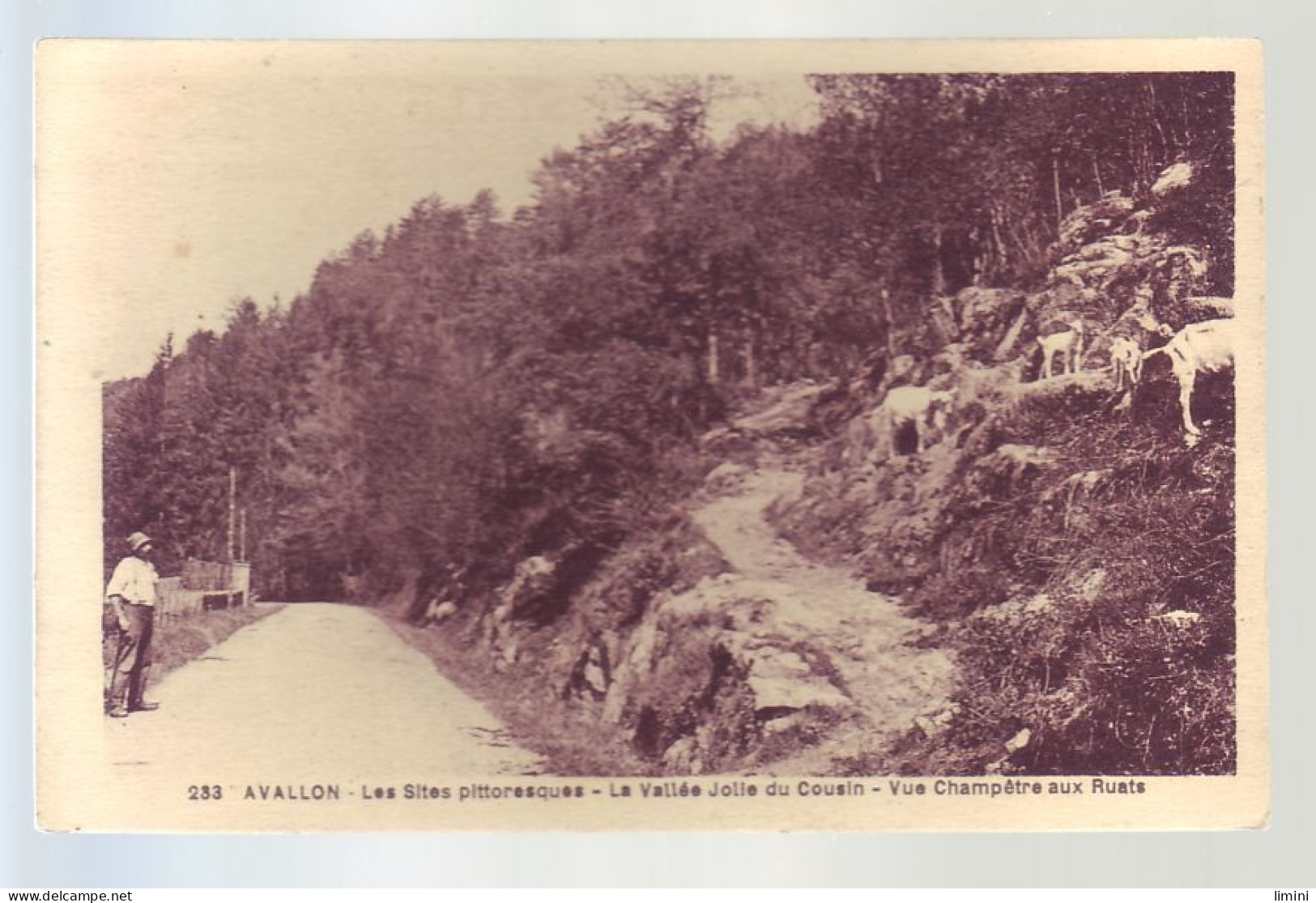 89 - AVALLON - LA VALLÉE JOLLE DU COUSIN - VUE CHAMPETRE AUX RUATS - ANIMÉE -  - Avallon