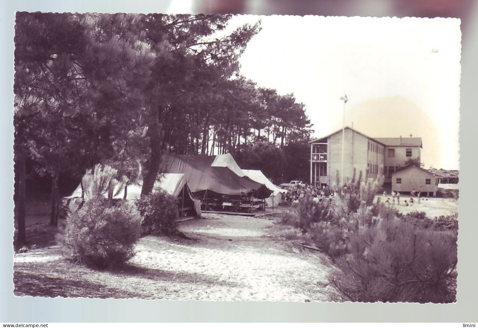 85 - BOURGENAY - VUE GÉNÉRALE - ANIMÉE -  - Sonstige & Ohne Zuordnung