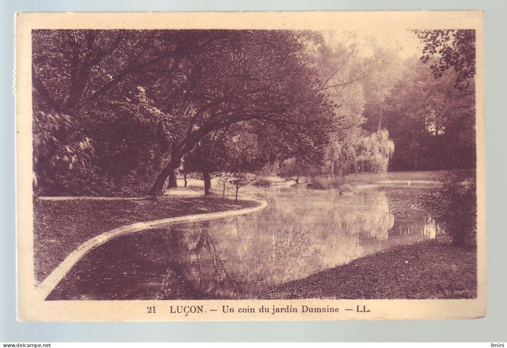 85 - LUCON - UN COIN DU JARDIN DUMAINE -  - Lucon