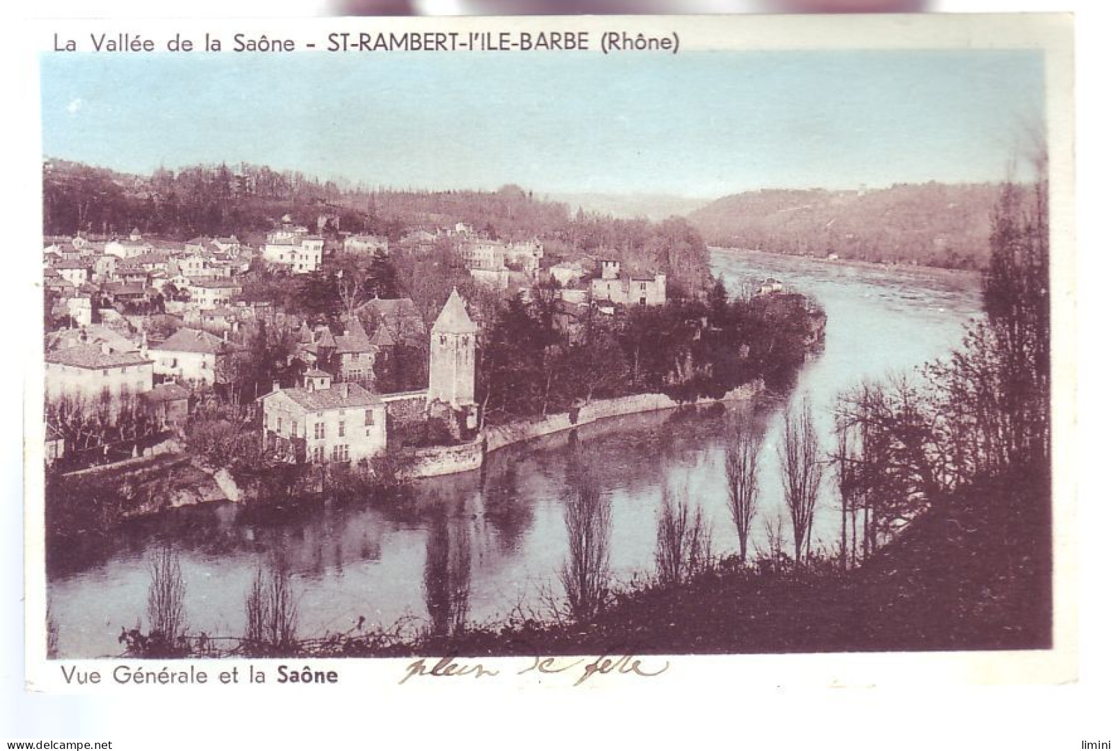 69 - SAINT-AMBERT-L'ILE-BARBE - VUE GÉNÉRALE ET LA SAONE - COLORISÉE -  - Sonstige & Ohne Zuordnung