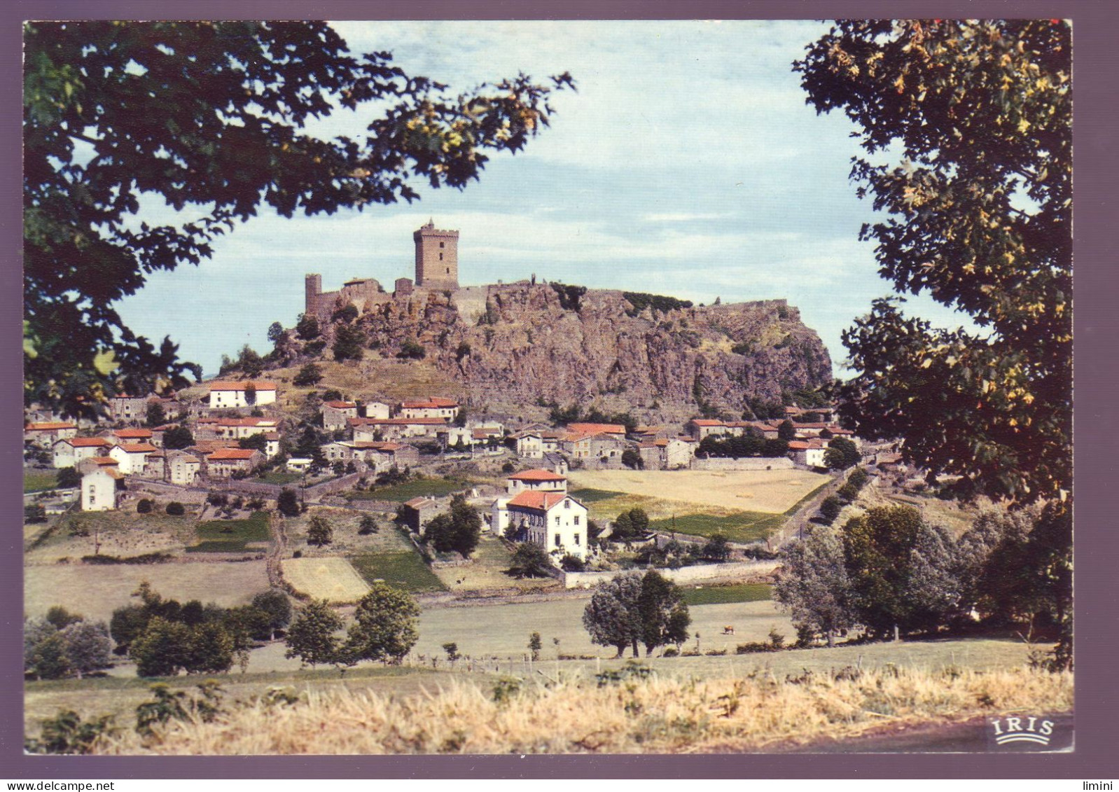 43 - LE CHATEAU DE POLIGNAC - VUE GÉNÉRALE -  - Autres & Non Classés