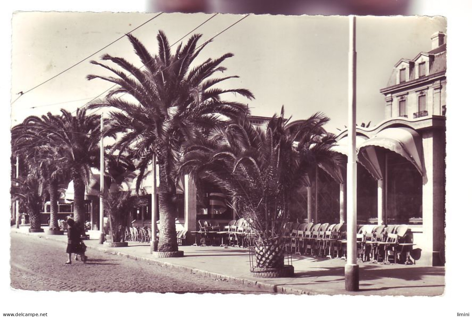 66 - PERPIGNAN - LE PALMARIUM - ANIMÉE -  - Perpignan