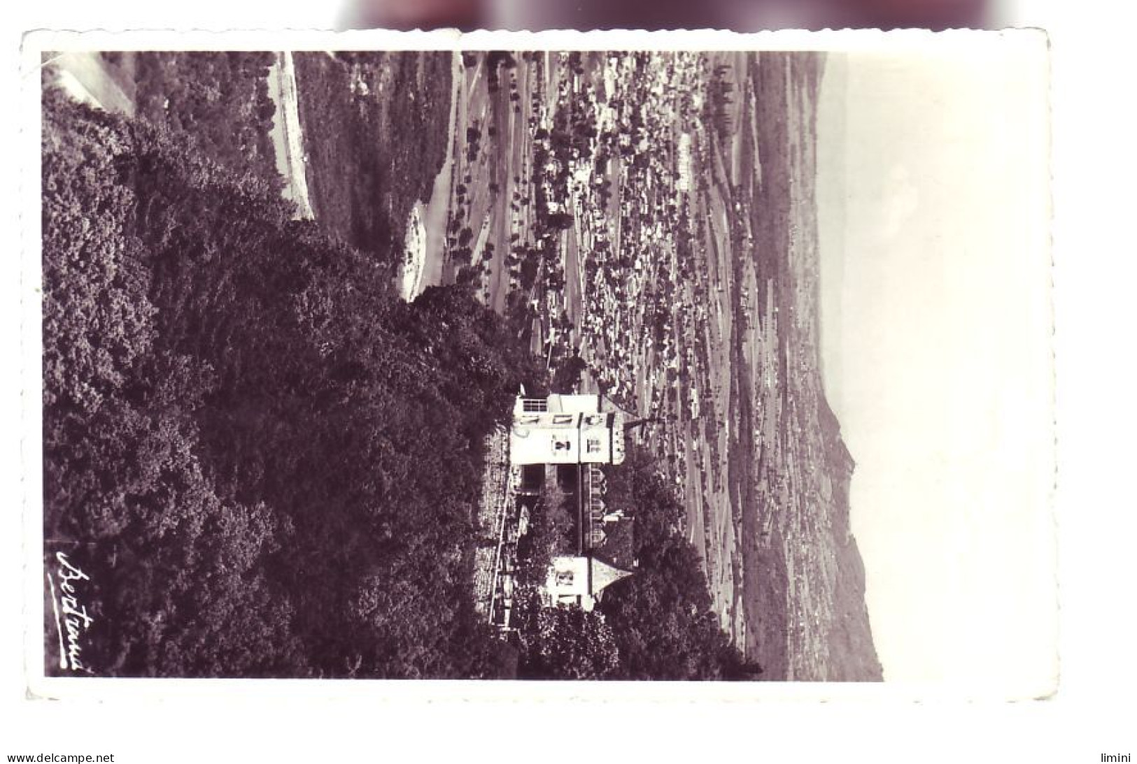 74 - ANNEMASSE - VUE GÉNÉRALE ET LE CHATEAU -  - Annemasse