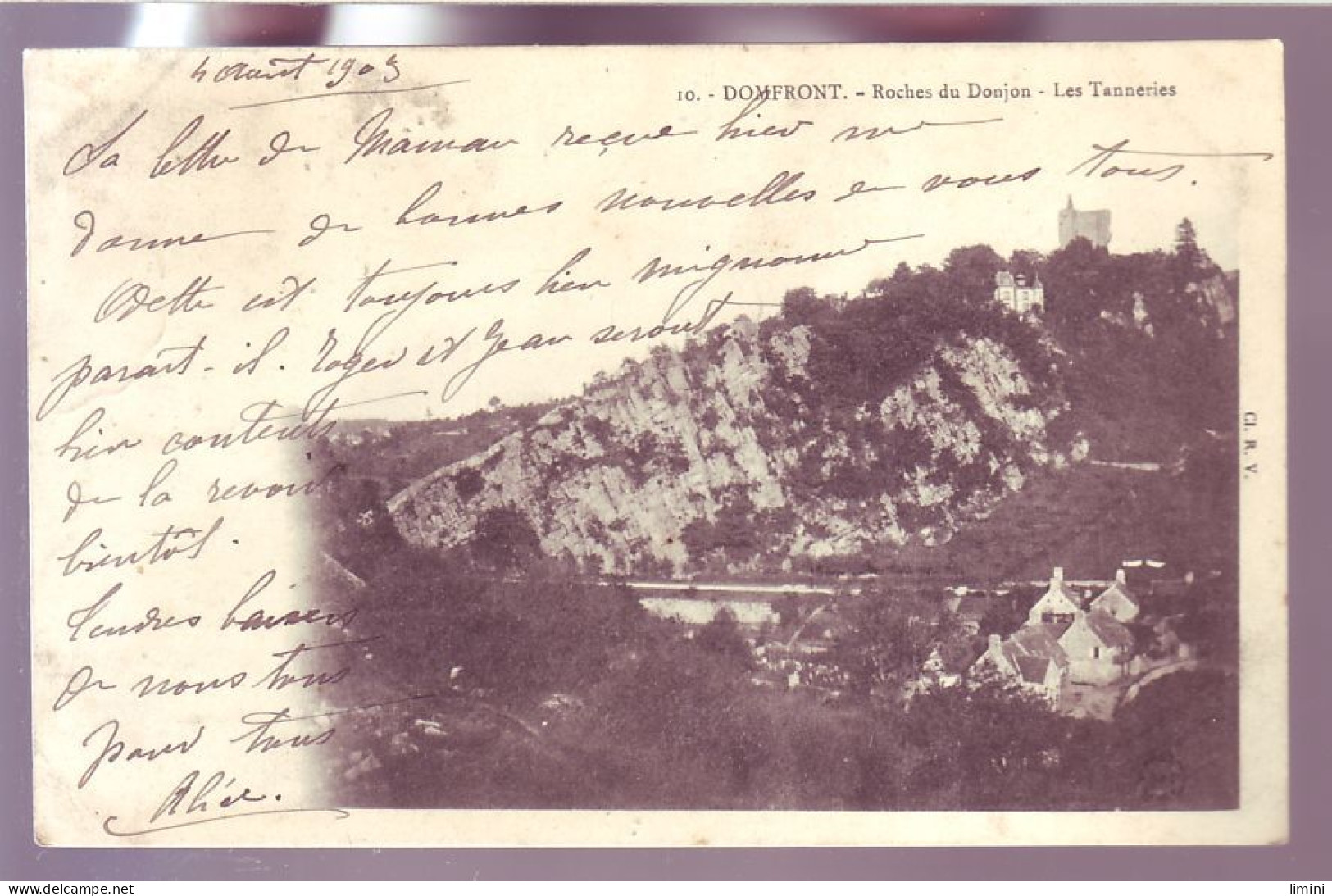 61 - DOMFRONT - ROCHES DU DONJON - LES TANNERIES -  - Domfront