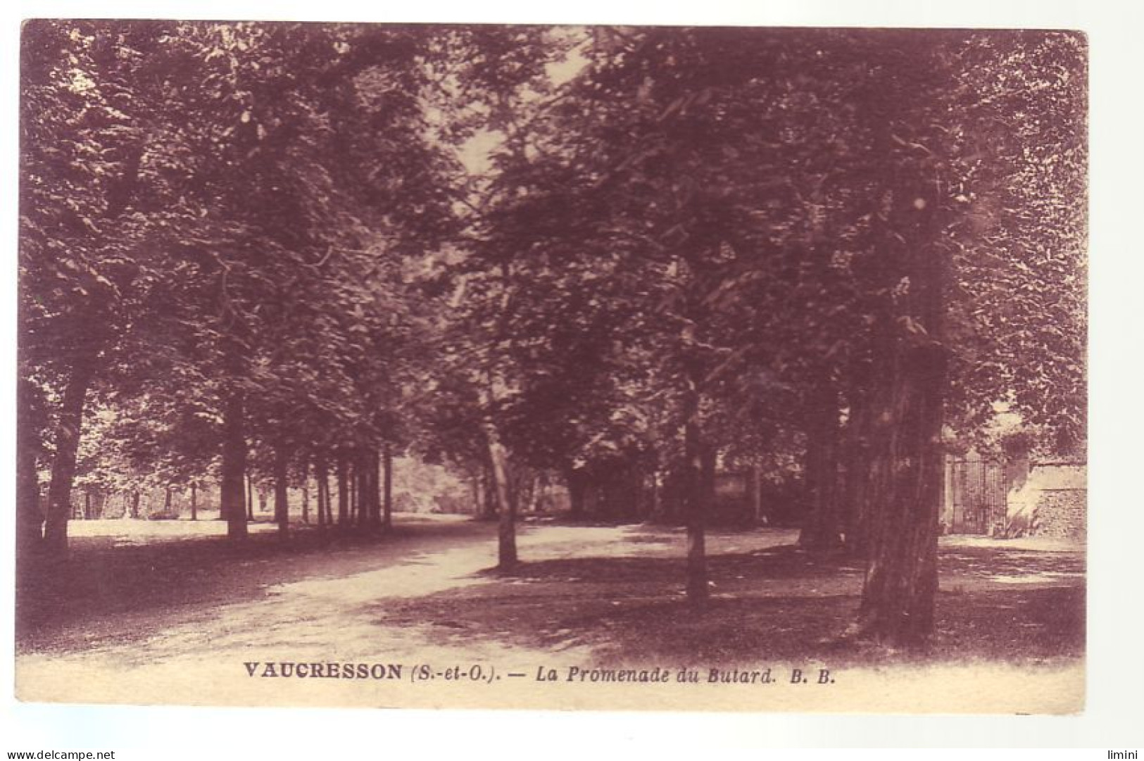 92 - VAUCRESSON - LA PROMENADE DU BUTARD -  - Vaucresson