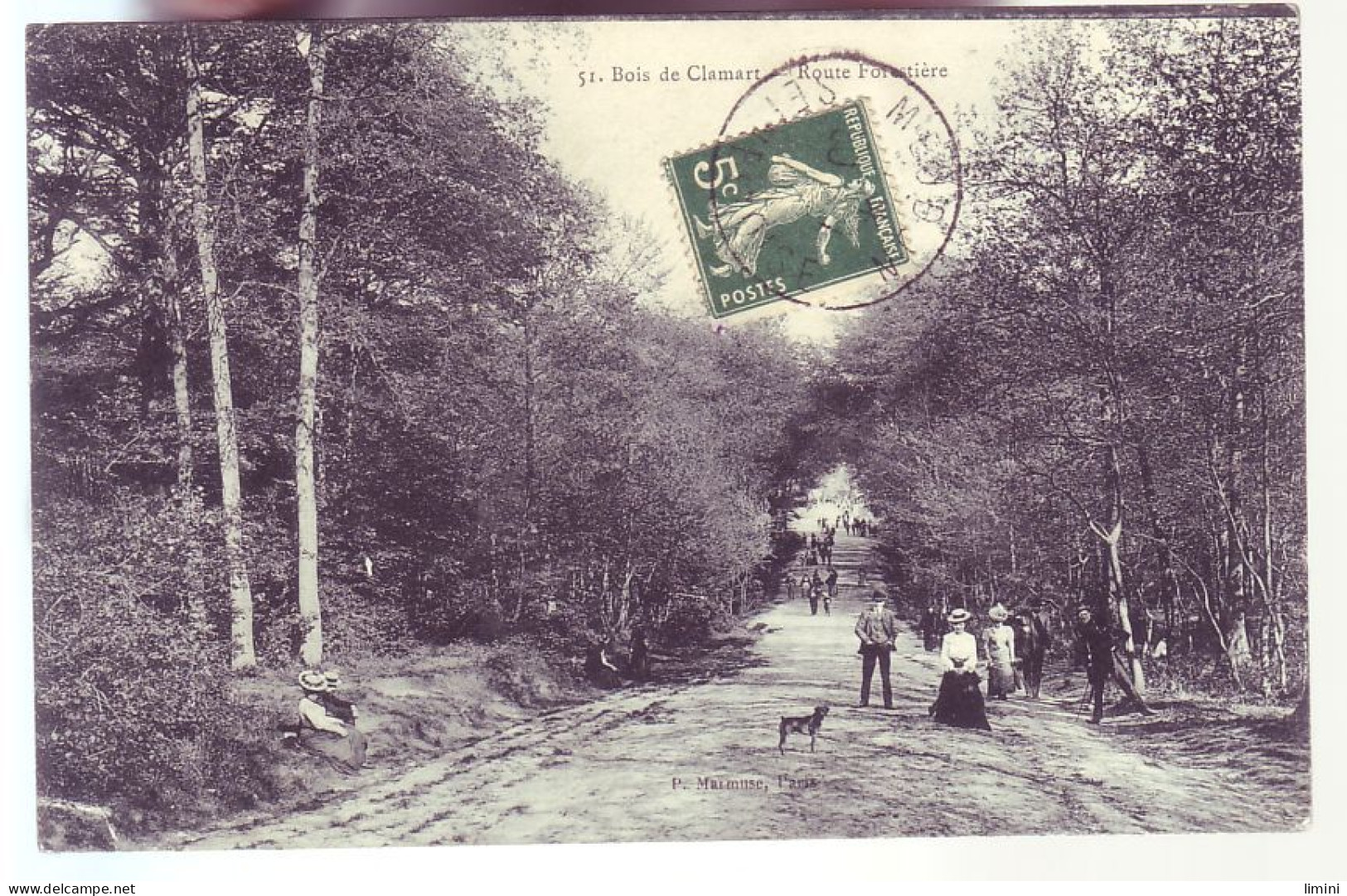 92 - BOIS DE CLAMART - ROUTE FORESTIERE - ANIMÉE -  - Clamart