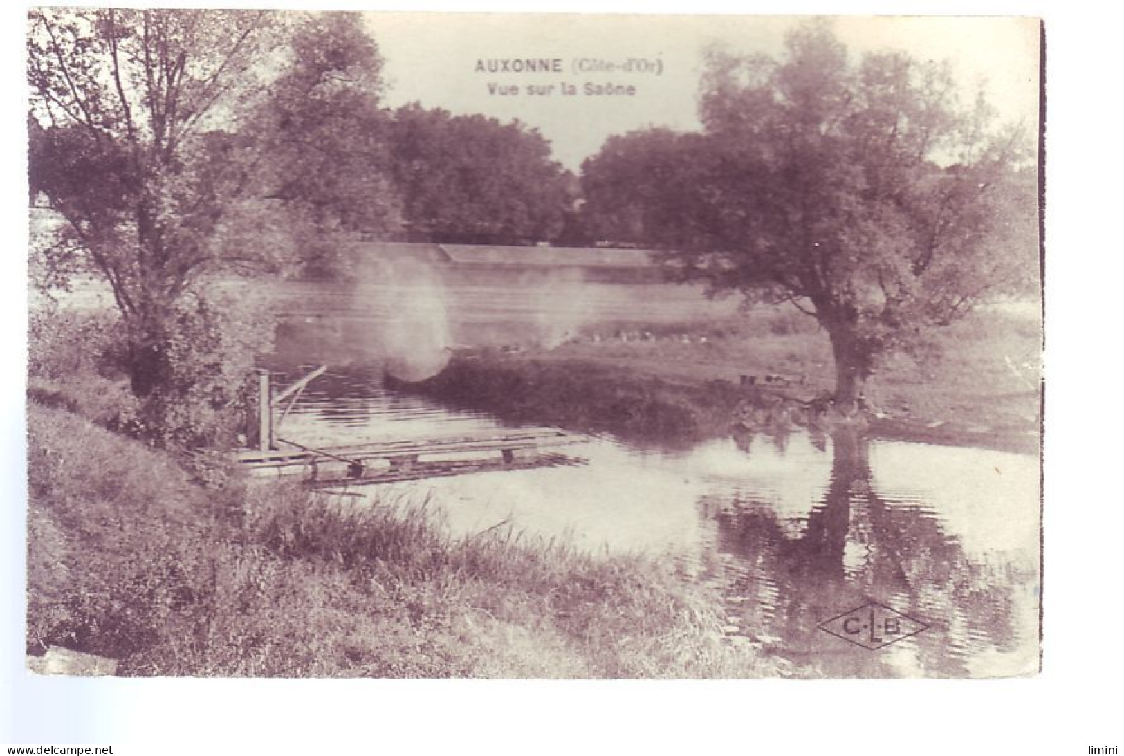 21 - AUXONNE - VUE SUR LA SAONE - ANIMÉE -  - Auxonne