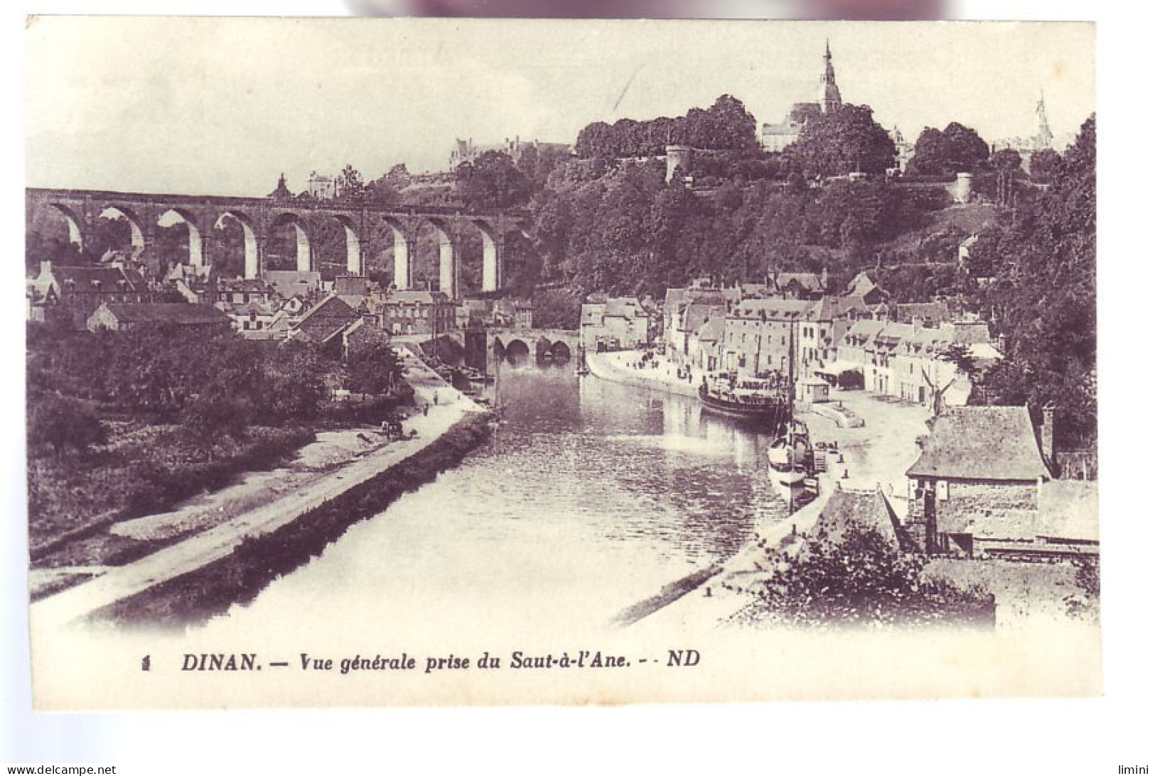 22 - DINAN - VUE GÉNÉRALE PRISE DU SAUT-à-L'ANE - ANIMÉE -  - Dinan