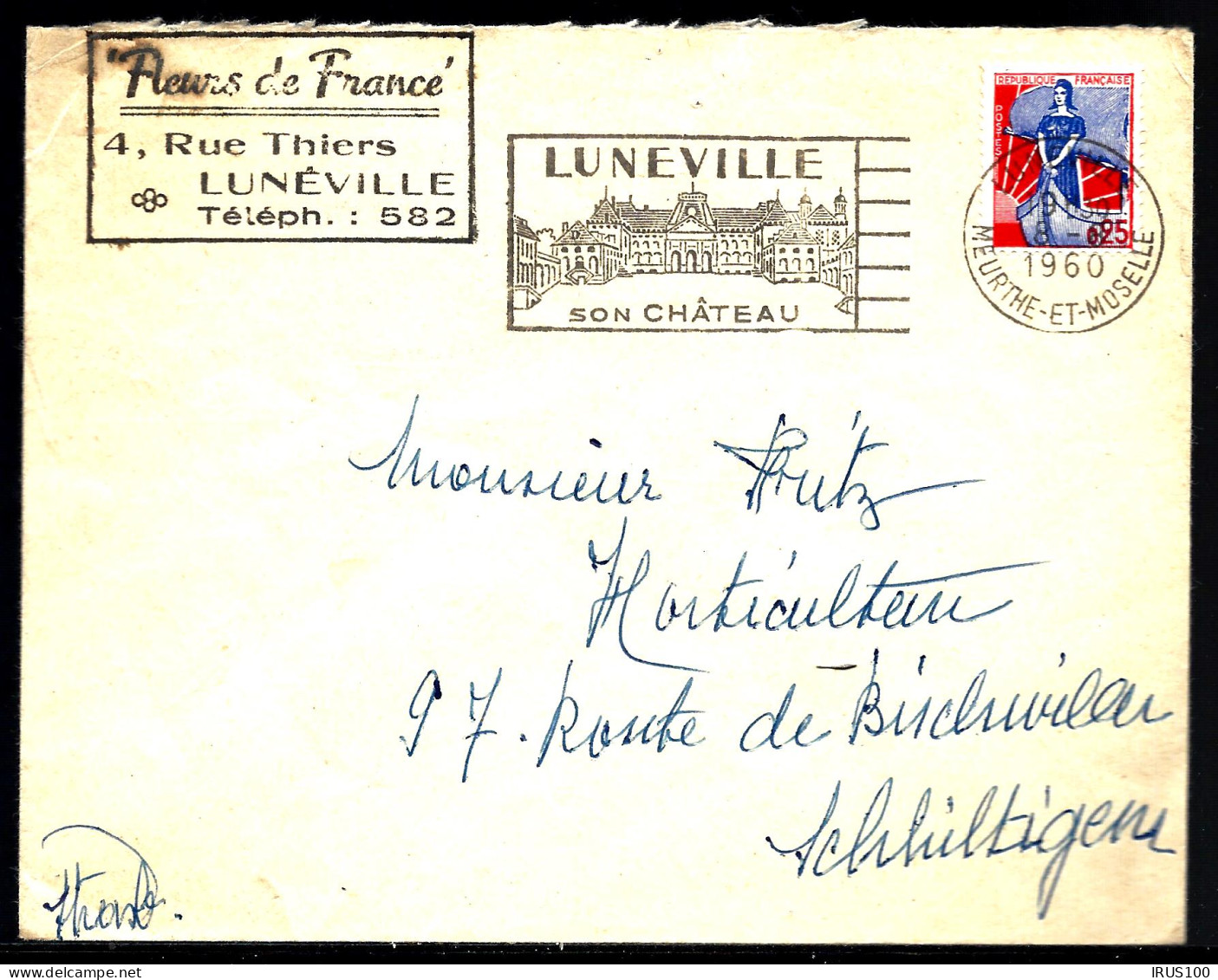 LETTRE DE LUNÉVILLE - 1960 - SON CHÂTEAU - FLEURS DE FRANCE -  - Covers & Documents