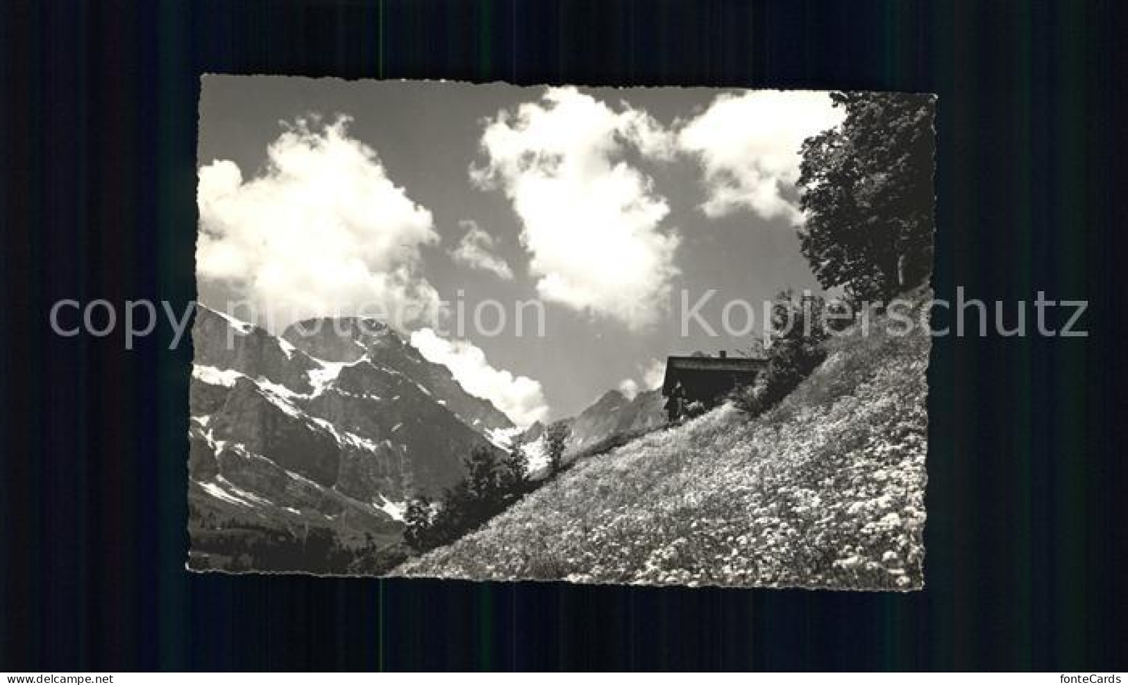 12044430 Engelberg OW Landschaft Am Bergli Engelberg - Andere & Zonder Classificatie