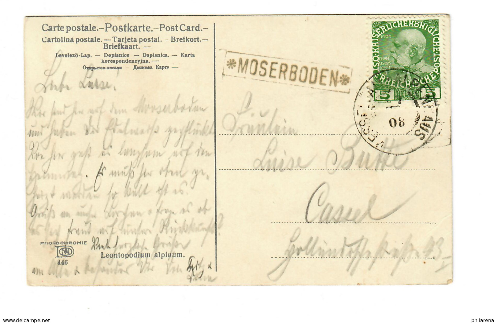 Ansichtskarte Edelweiß, Moserboden 1908 Nach Kassel - Lettres & Documents