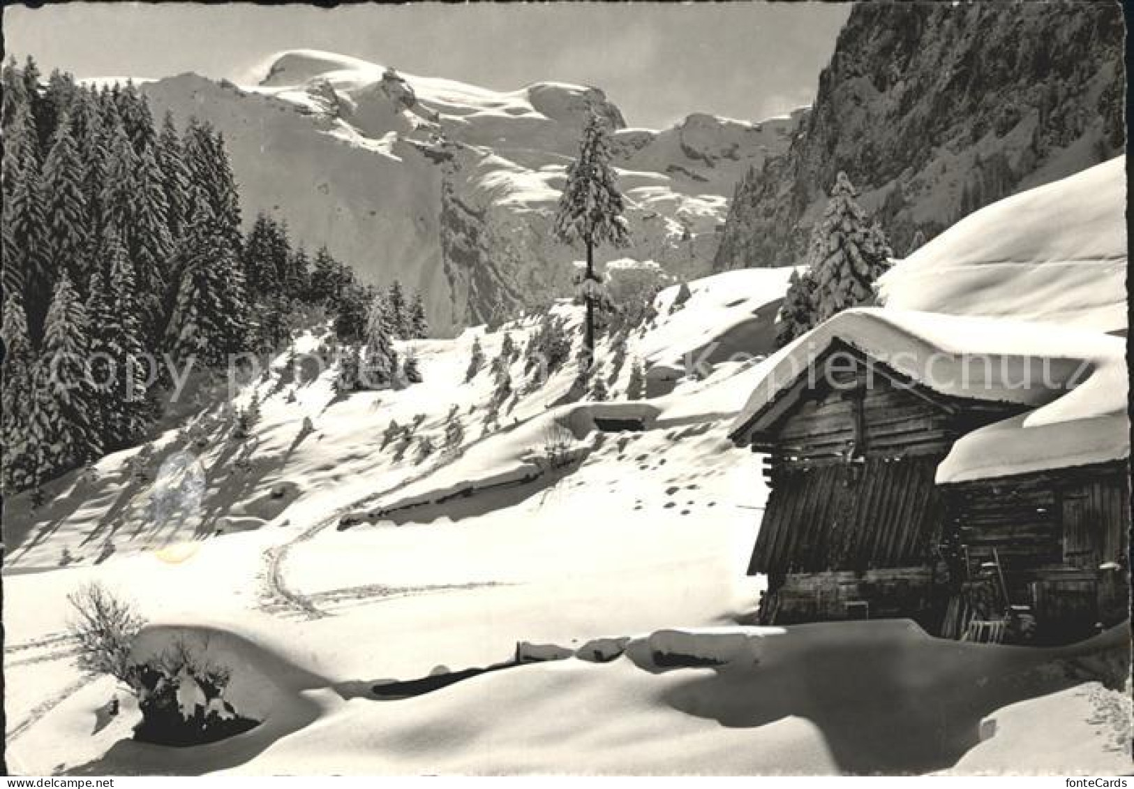 12044321 Engelberg OW Skigebiet Gerschnialp Mit Titlis Urner Alpen Winterpanoram - Andere & Zonder Classificatie
