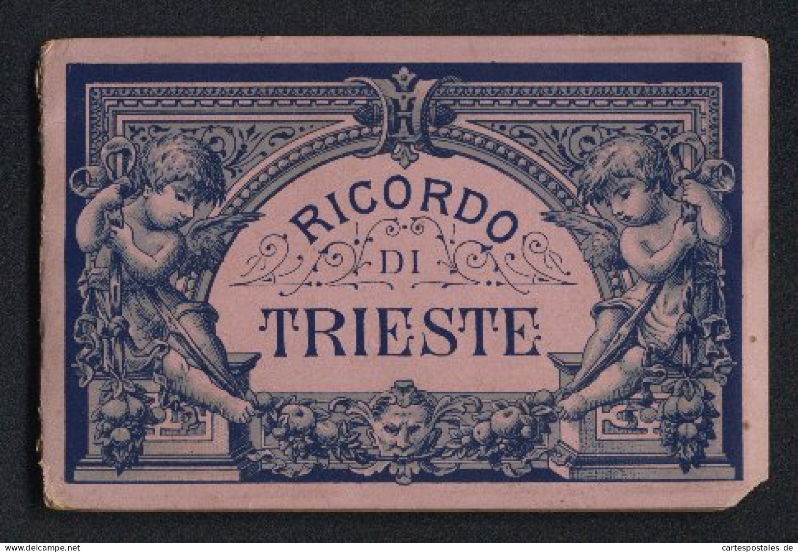 Leporello-Album Trieste Mit 12 Lithographie-Ansichten, Herpelje Bahnhof, Miramar, Municipalgebäude, Südbahnhof, Bör  - Litografía