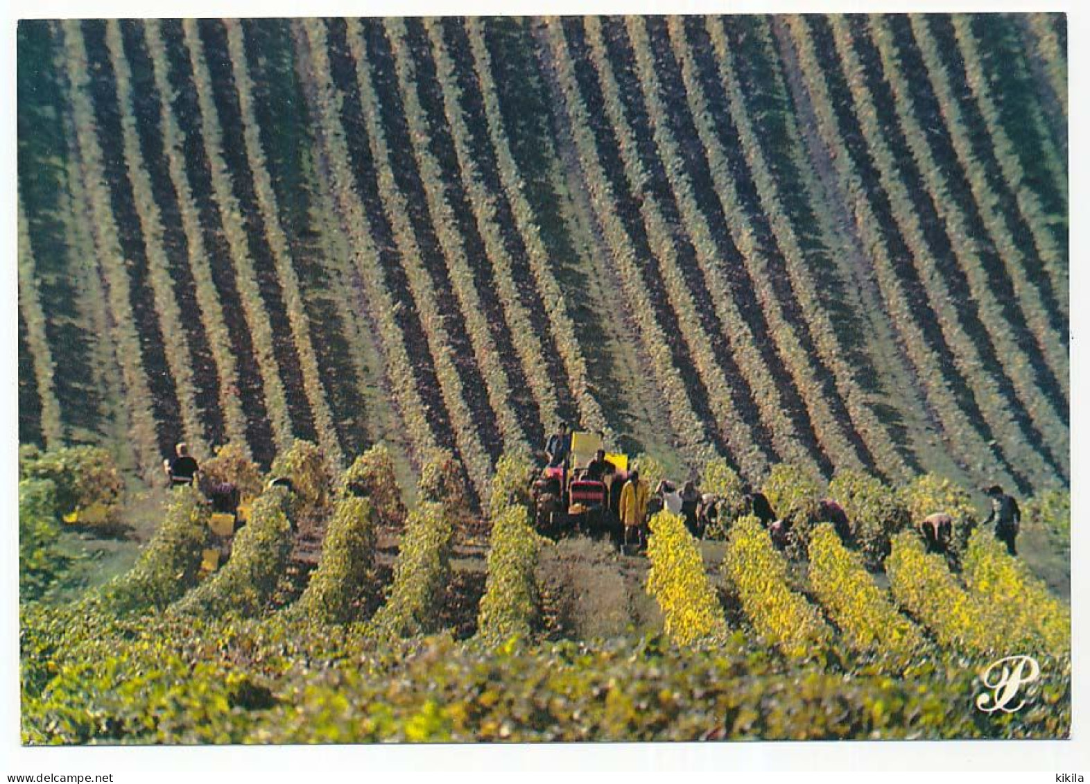 CPSM / CPM 10.5 X 15 Prestige FRANCHE-COMTE   Vignoble Tracteur Agriculteur Traitement De La Vigne - Franche-Comté
