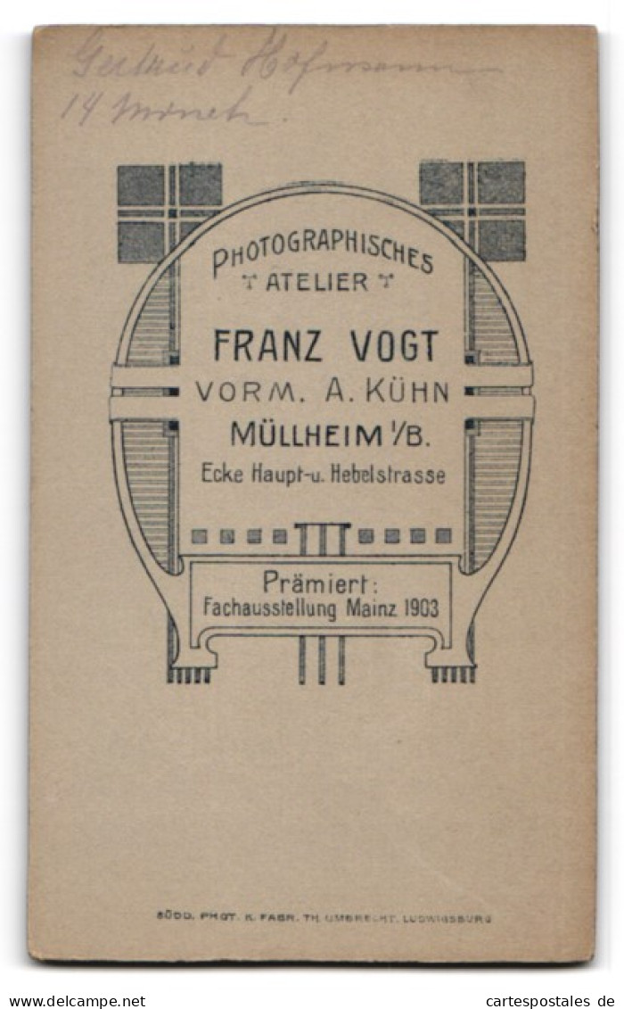 Fotografie Franz Vogt, Müllheim I. B., Ecke Haupt- Und Hebelstrasse, Süsses Kleinkind Auf Fell  - Anonyme Personen