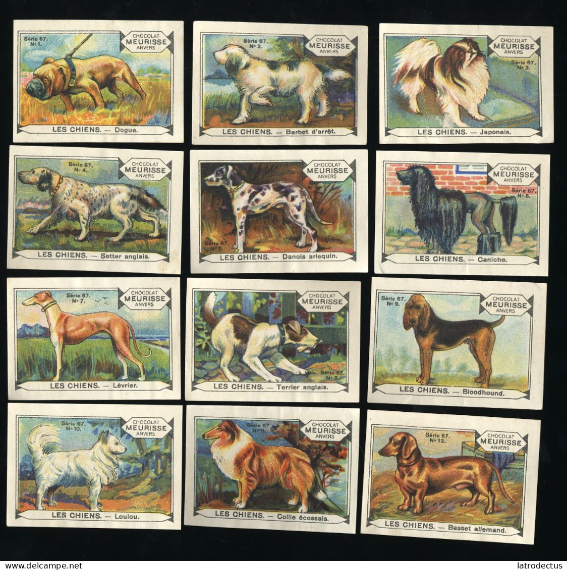 Meurisse - Ca 1930 - 67 - Les Chiens, Dogs - Full Serie - Autres & Non Classés