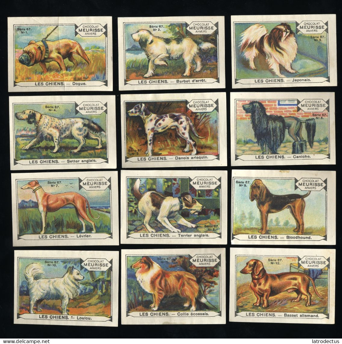 Meurisse - Ca 1930 - 67 - Les Chiens, Dogs - Full Serie (no 1 Folded) - Andere & Zonder Classificatie