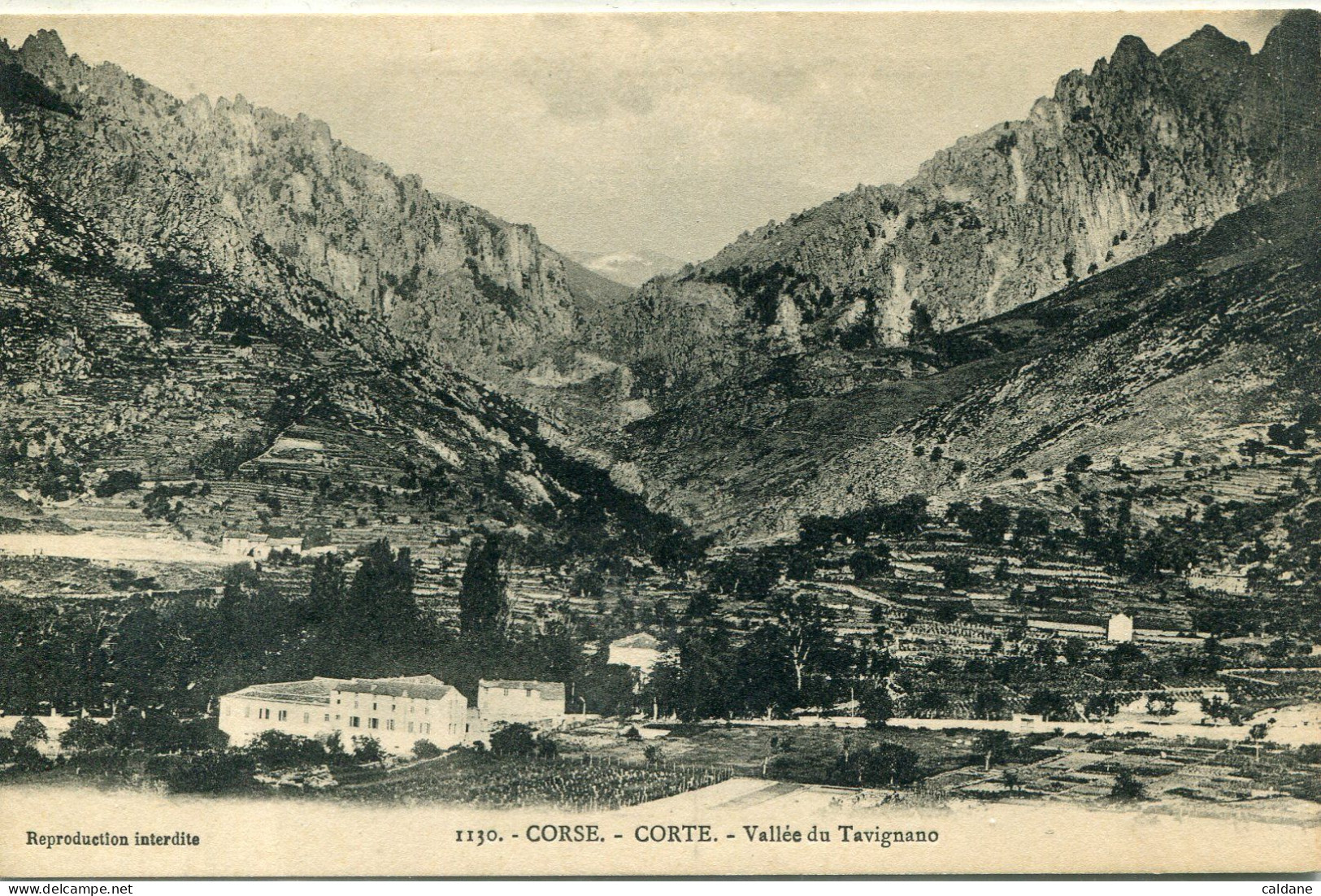 2A-CORSE  -  CORTE  - Vallée. Du. Tavignano    Collection. J.Moretti,Corté.  N° 1130 - Corte