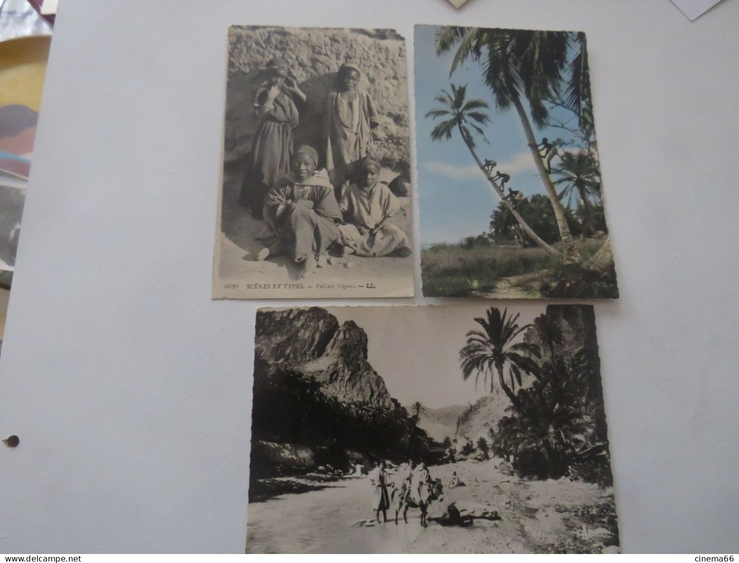 SCENES ET TYPES - Lot De 3 Cartes - Scenes