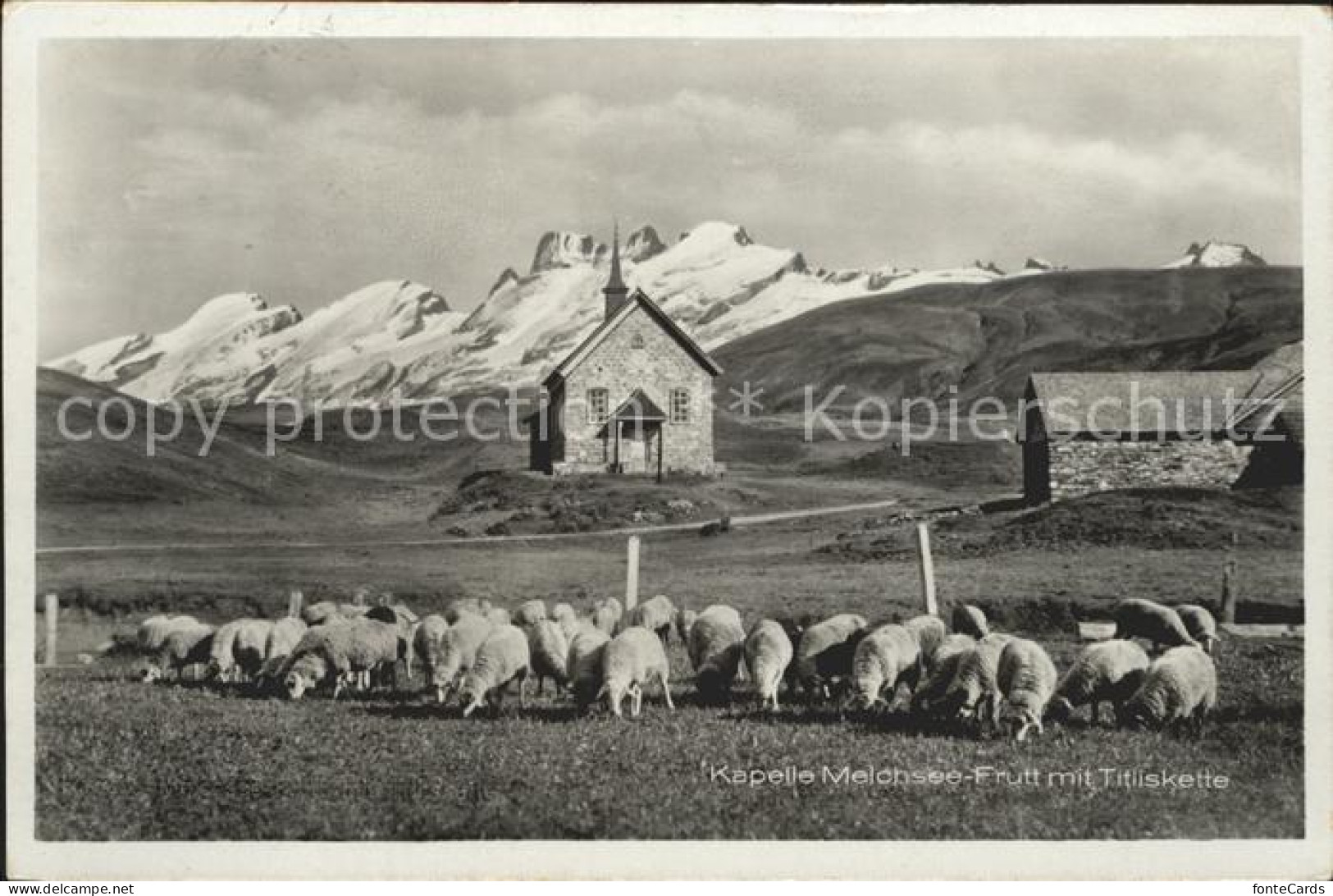 12043528 Frutt Melchsee Schafe Kapelle Titliskette Melchsee-Frutt - Sonstige & Ohne Zuordnung