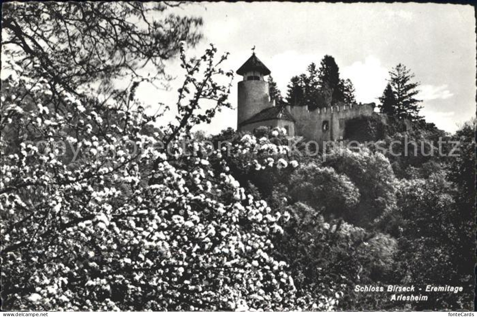 12043500 Arlesheim Schloss Birseck Eremitage Baumbluete Arlesheim - Sonstige & Ohne Zuordnung