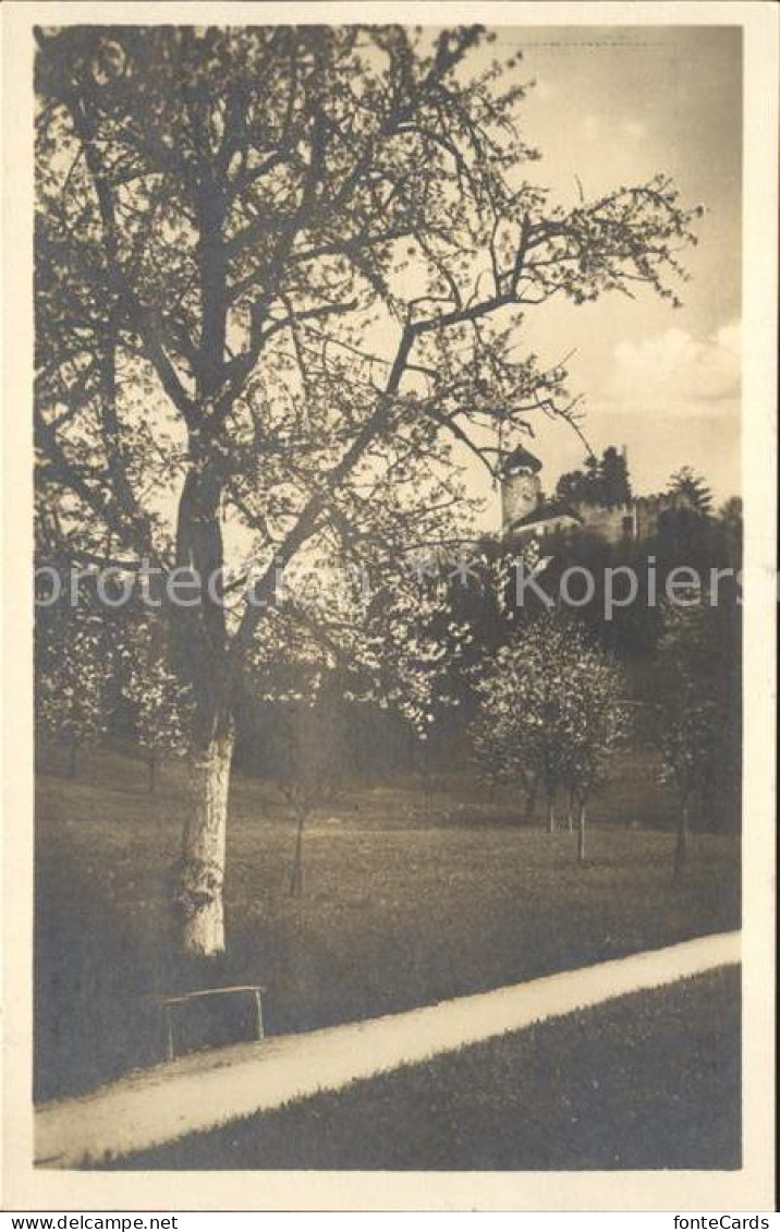 12043471 Arlesheim Schloss Birseck Ermitage Arlesheim - Sonstige & Ohne Zuordnung