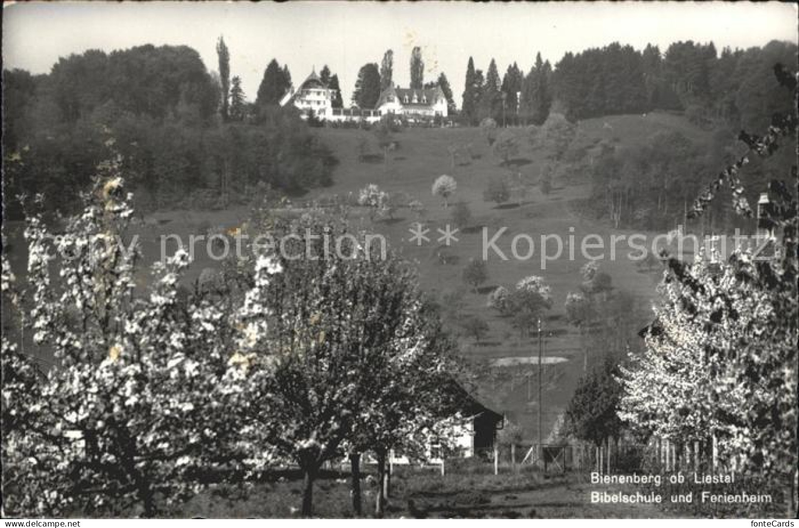 12043464 Liestal Bienenberg Bibelschule Ferienheim Baumbluete Liestal - Sonstige & Ohne Zuordnung