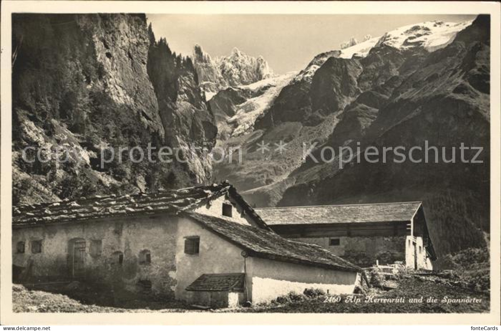 12042492 Engelberg OW Alp Herrenrueti Und Die Spannoerter Alpen Engelberg - Sonstige & Ohne Zuordnung