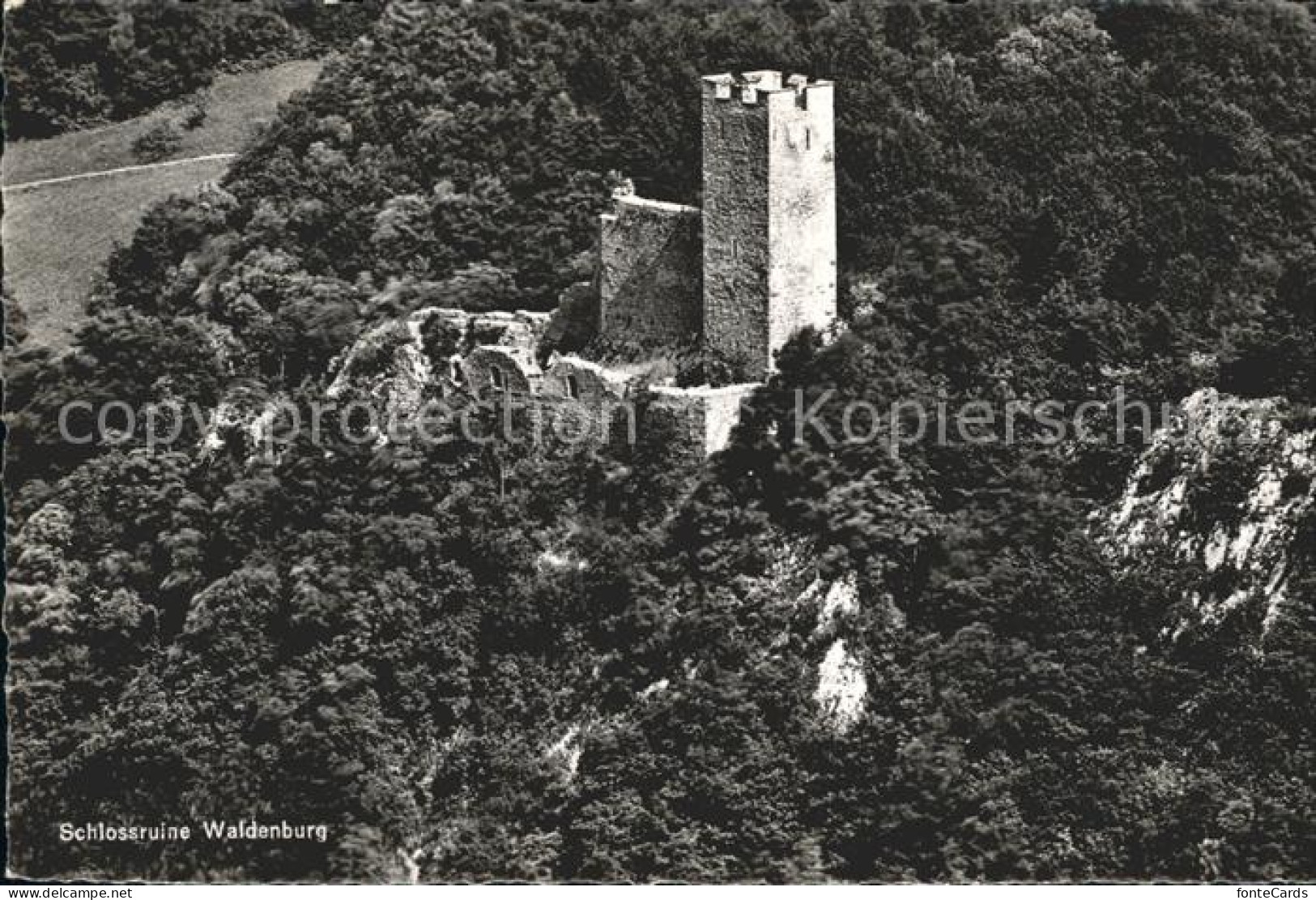 12042433 Waldenburg BL Schlossruine Waldenburg - Otros & Sin Clasificación