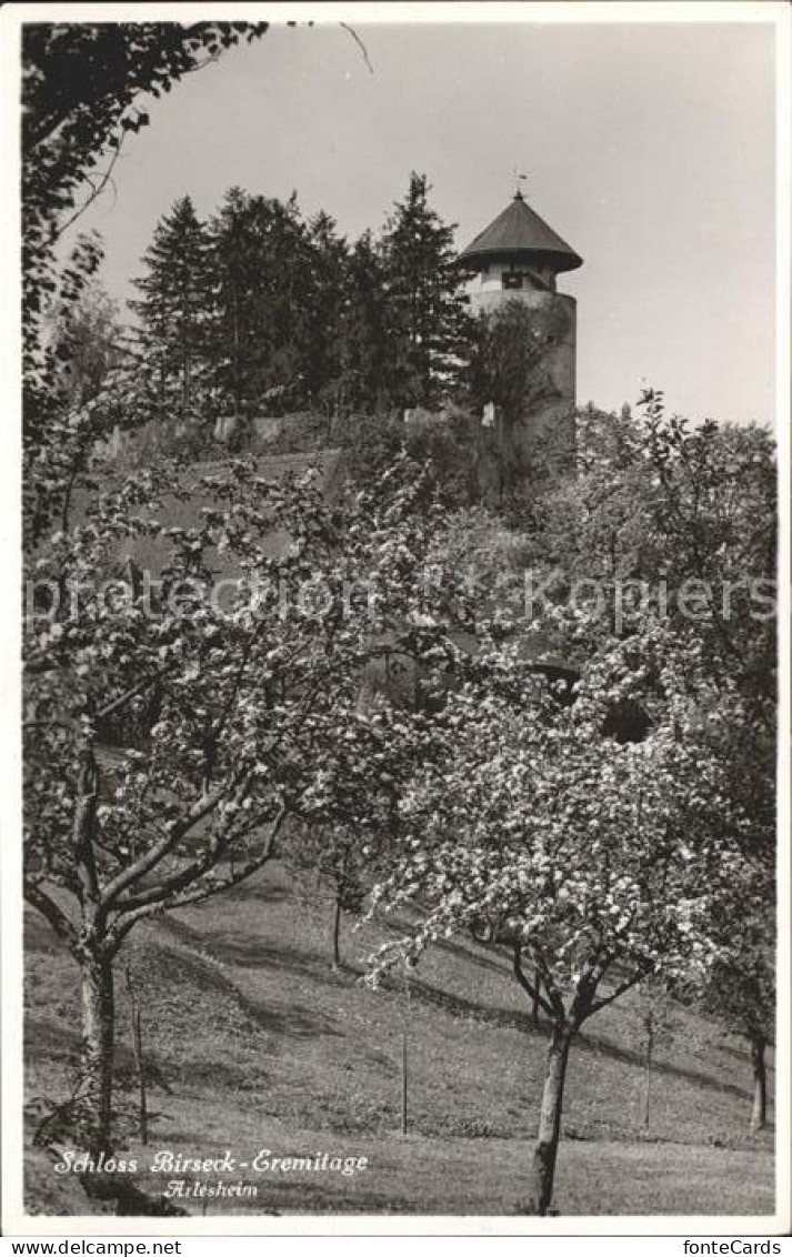 12042428 Arlesheim Schloss Birseck Eremitage Baumbluete Arlesheim - Autres & Non Classés