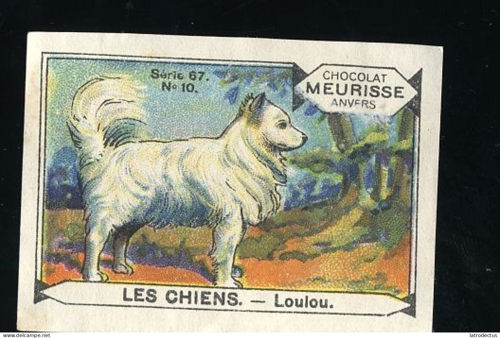 Meurisse - Ca 1930 - 67 - Les Chiens, Dogs - 10 - Loulou - Andere & Zonder Classificatie