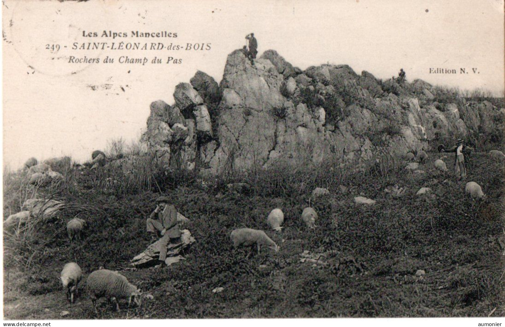 SAINT LEONARD DES BOIS ( 72 ) - Rochers Du Champ Du Pas - Saint Leonard Des Bois