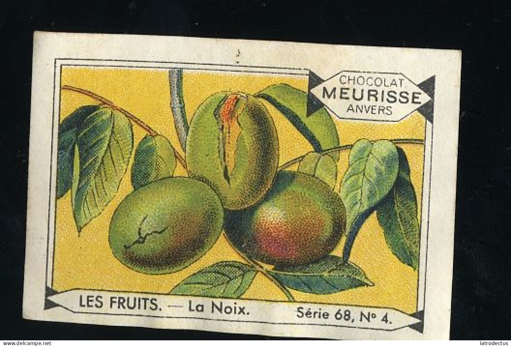 Meurisse - Ca 1930 - 68 - Les Fruits, Fruit - 4 - Le Noix, Walnut - Autres & Non Classés