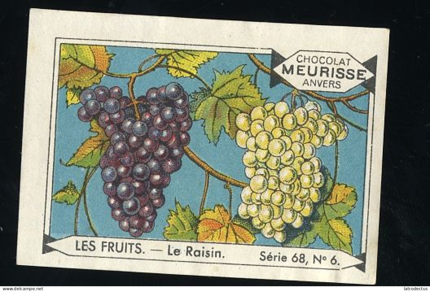 Meurisse - Ca 1930 - 68 - Les Fruits, Fruit - 6 - Le Raisin, Grapes - Andere & Zonder Classificatie