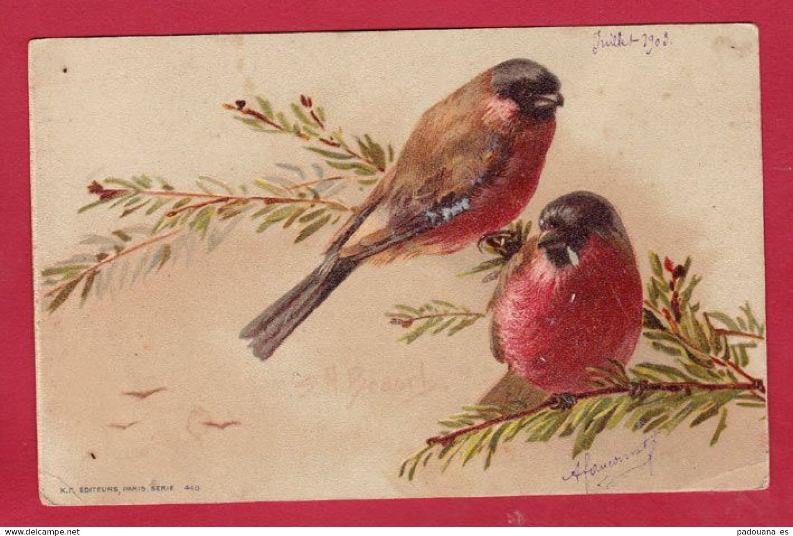 AF365 FANTAISIES OISEAUX BOUVREUILS FANCIES BIRDS EN 1903 - Oiseaux