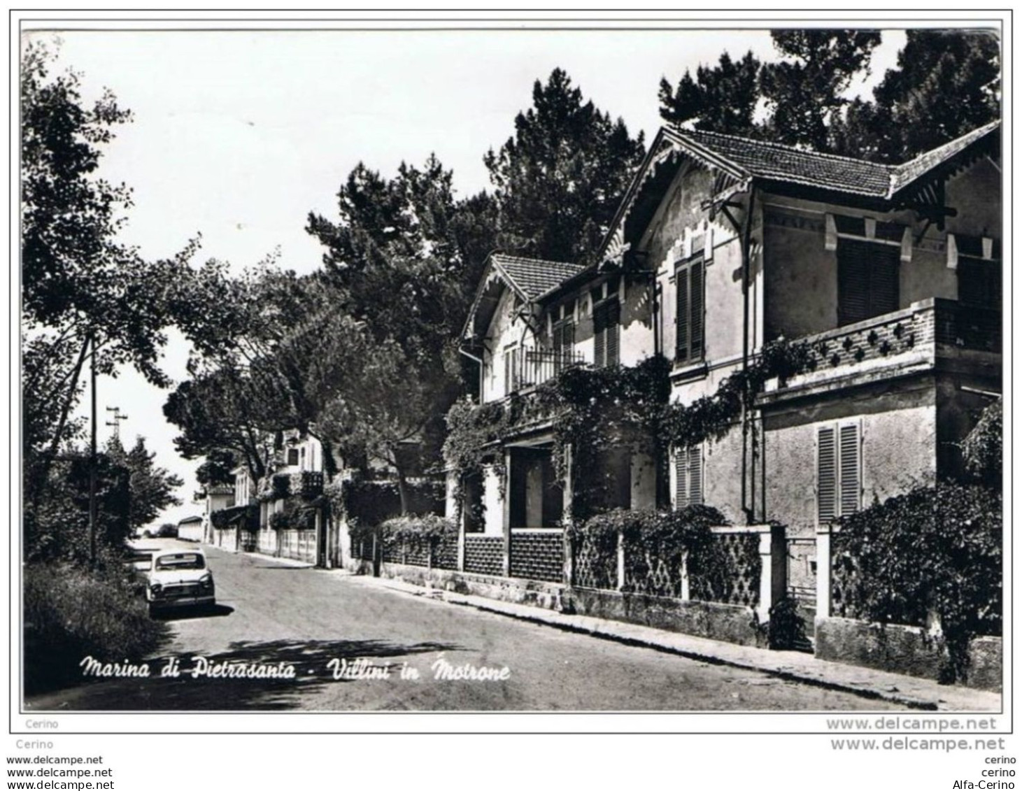 MARINA  DI  PIETRASANTA:  VILLINI  IN  MOTRONE  -  FOTO  -  FG - Lucca