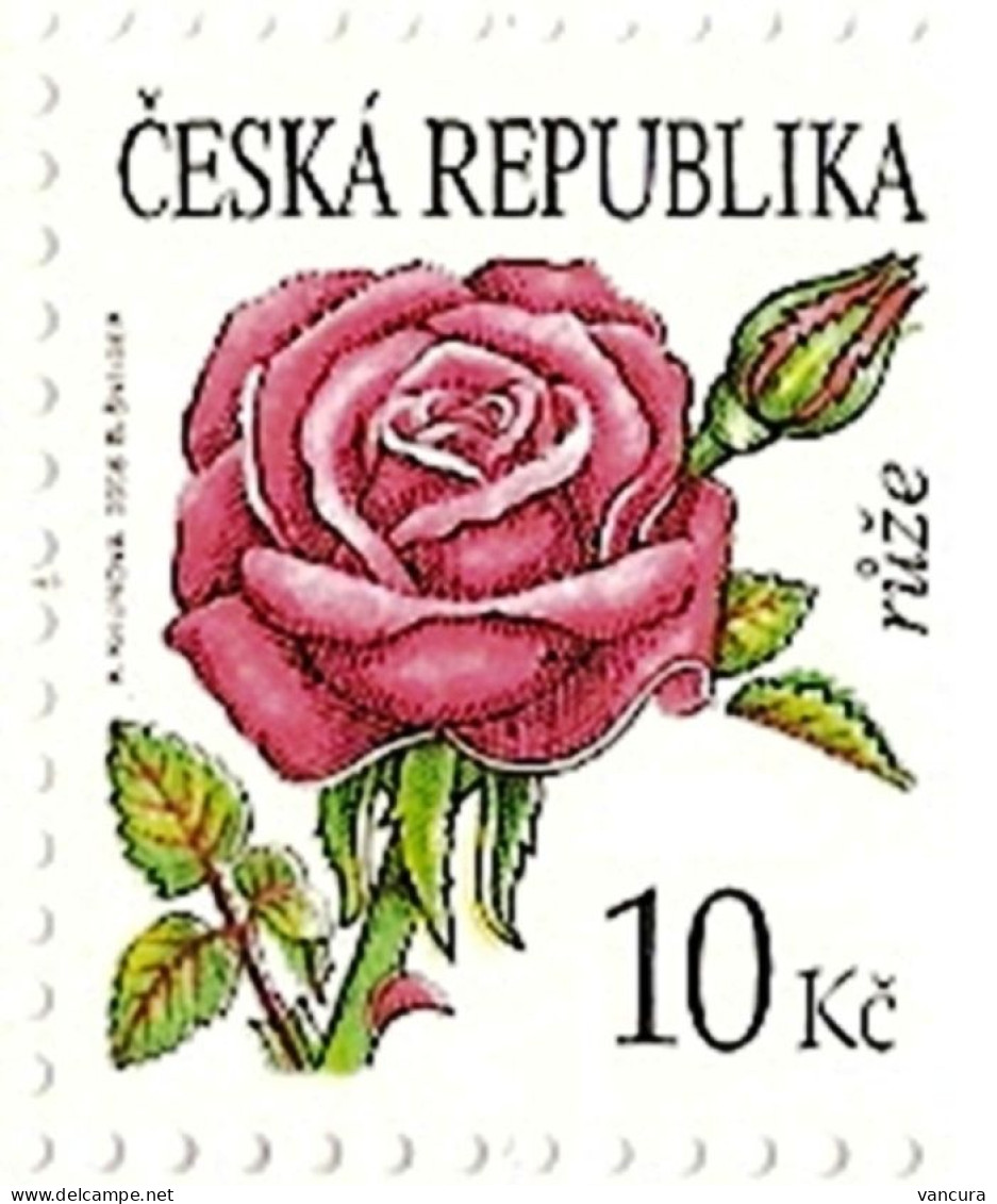 ** 543 Czech Republic Rose 2008 - Rosas