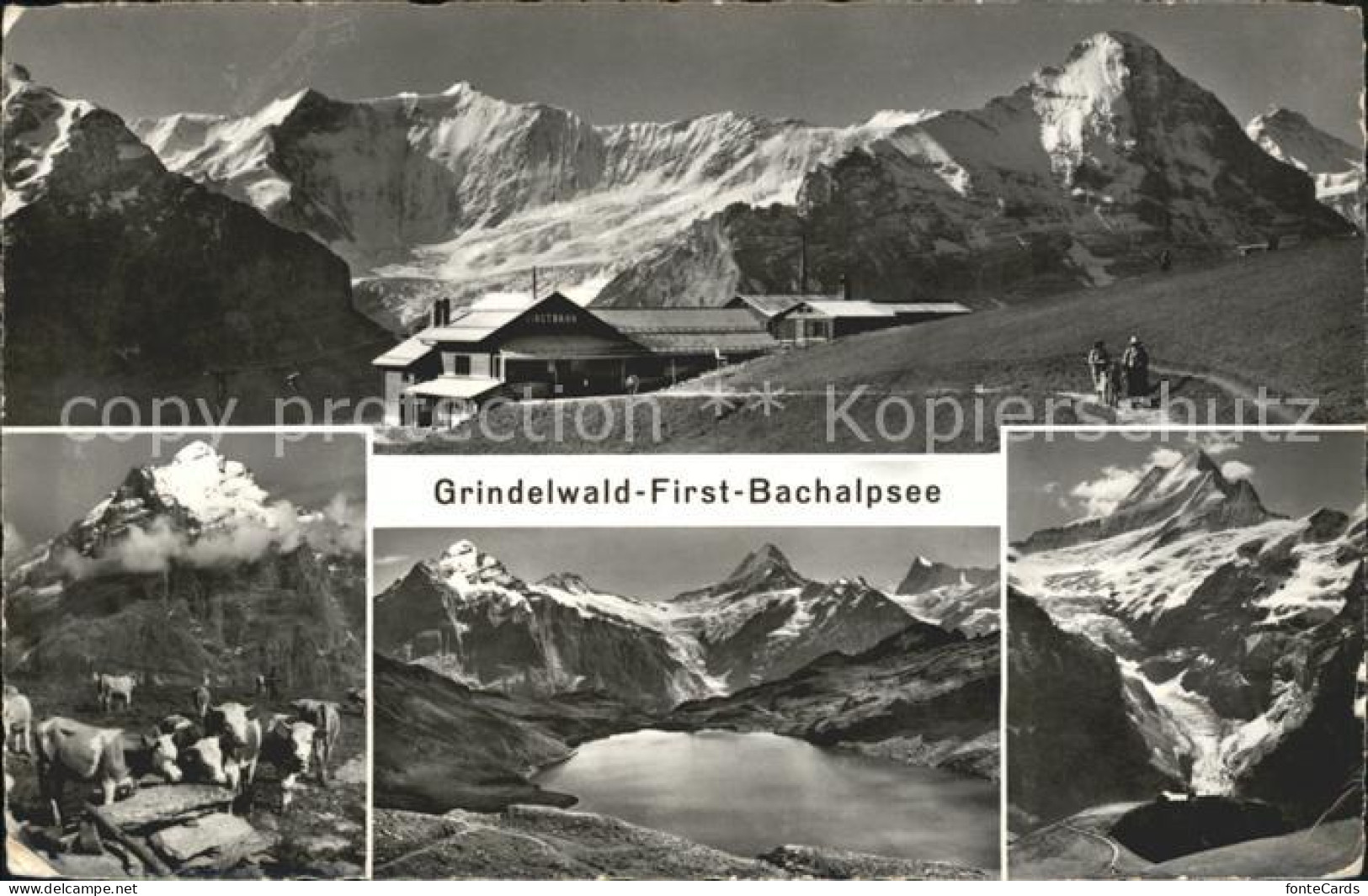 12039162 Grindelwald First Bachalpsee Grindelwald - Sonstige & Ohne Zuordnung