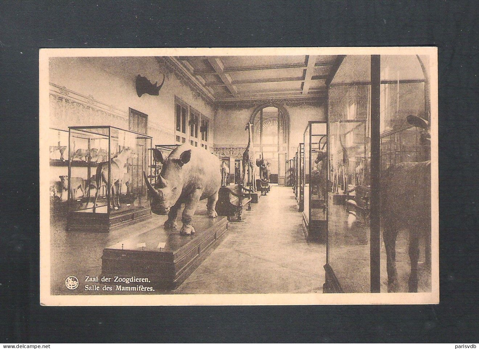 TERVUREN - MUSEUM VAN BELGISCH CONGO - ZAAL DER ZOOGDIEREN - NELS  (14.180) - Tervuren