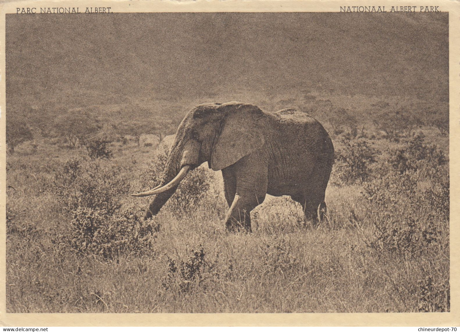 OLIFANTEN EDWARD MEER VLAAAKTE  ELEPHANT CONGO BELGE - Éléphants