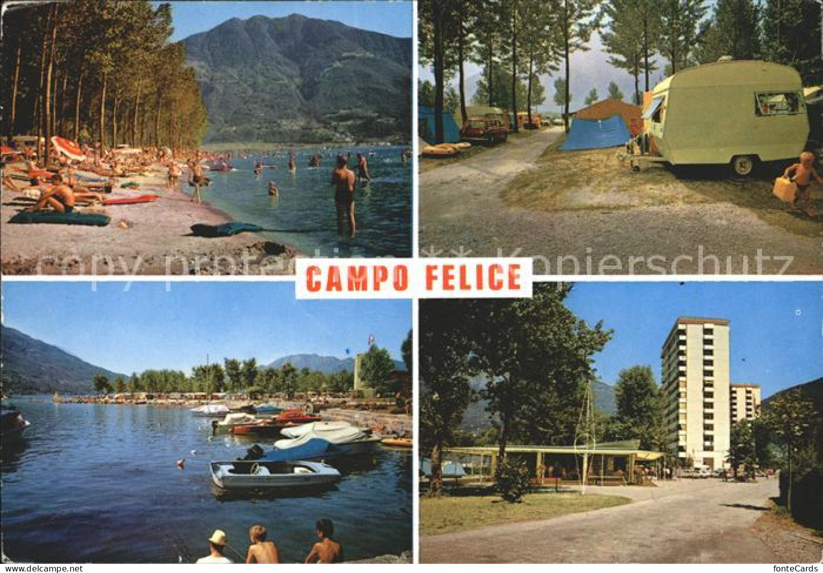 12038160 Tenero Campo Felilce Lago Maggiore Tenero - Sonstige & Ohne Zuordnung