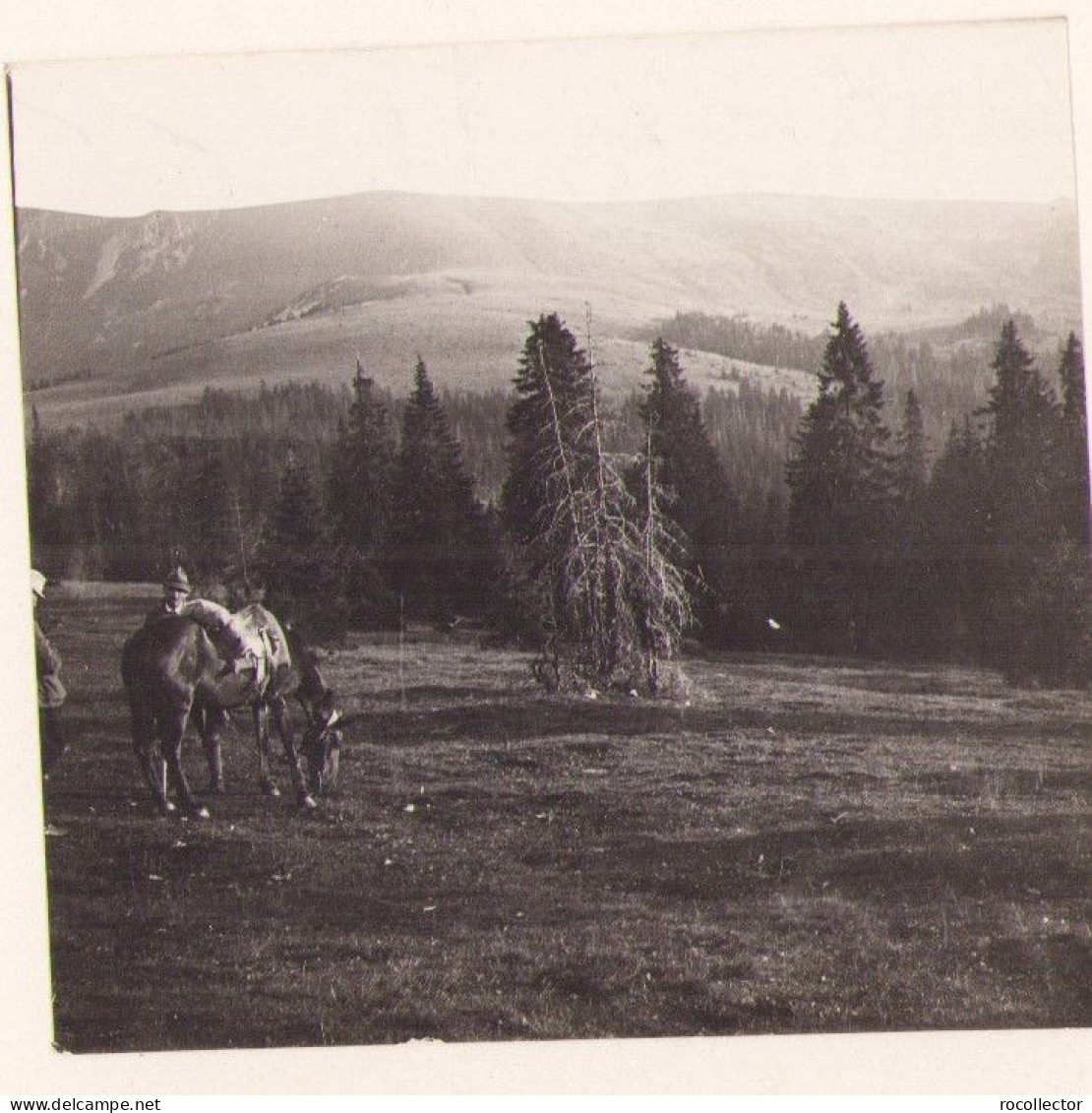 Munții Apuseni Vărășoaia Spre Cârligata, Fotografie De Emmanuel De Martonne, 1921 G80Nâ - Orte