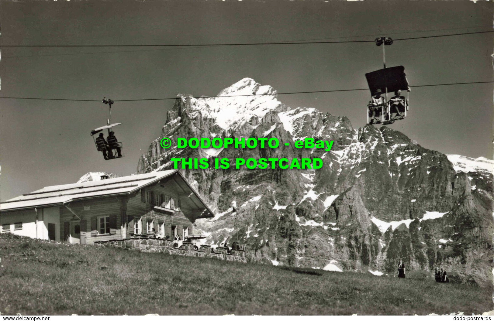 R558425 18053. Grindelwald. Firstbahn. Restaurant Bort Mit Wetterhorn. E. Gyger - Monde