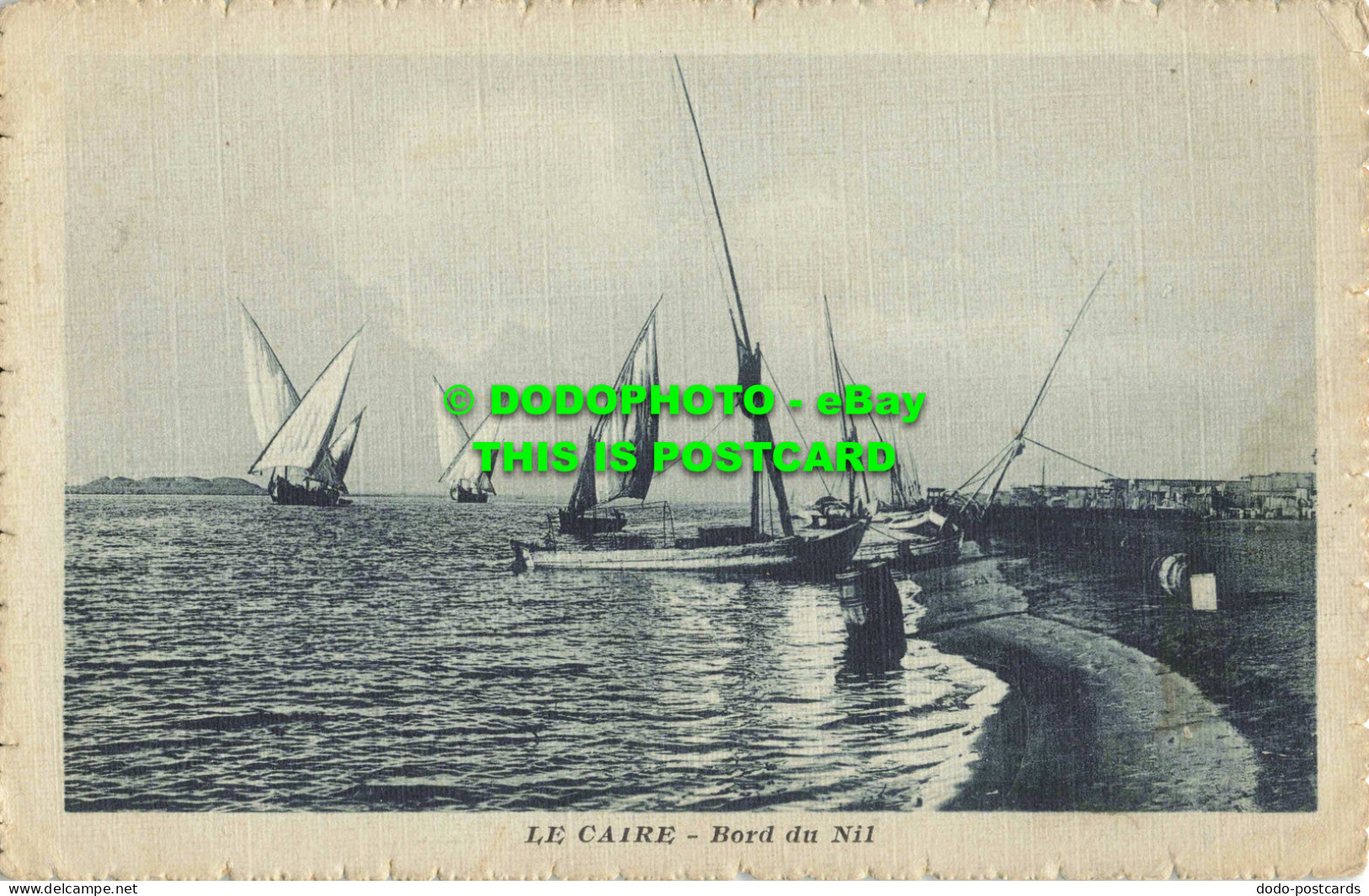 R559118 Le Caire. Bord Du Nil. The Cairo Postcard Trust. Serie. 546 - Monde