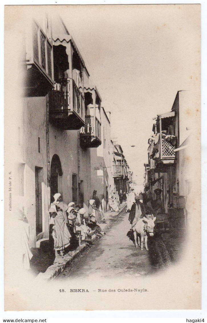 CPA ALGERIE : 18 - BISKRA - Rue Des Ouleds-Nayls - Ed. Idéale P.S - Précurseur DND Avant 1904 - Biskra