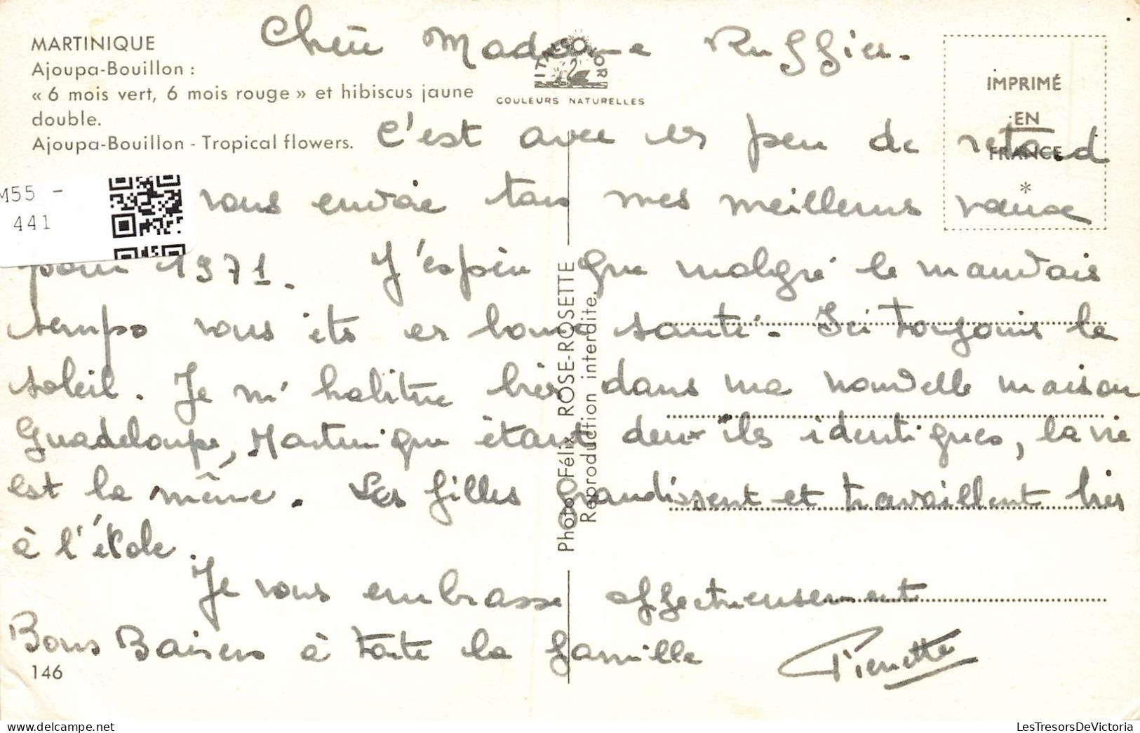 FRANCE - Martinique - Ajoupa Bouillon - 6 Mois Vert, 6 Mois Rouge - Et Hibiscus Jaune Double - Carte Postale Ancienne - Altri & Non Classificati