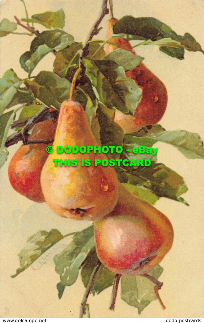 R558788 Pears. Tuck. Fruit Series 6736 - Mundo