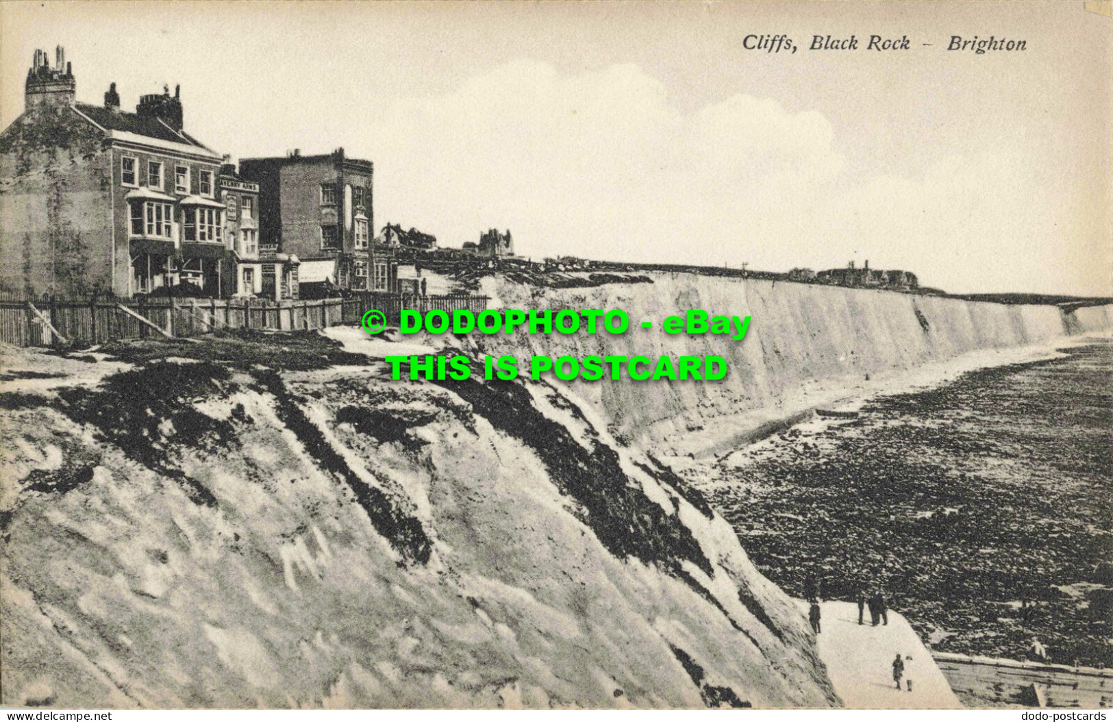 R559150 Brighton. Cliffs Black Rock. Postcard - Mundo